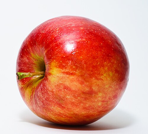 Fresh Red Apple