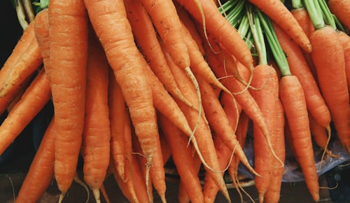 Fresh Carrot